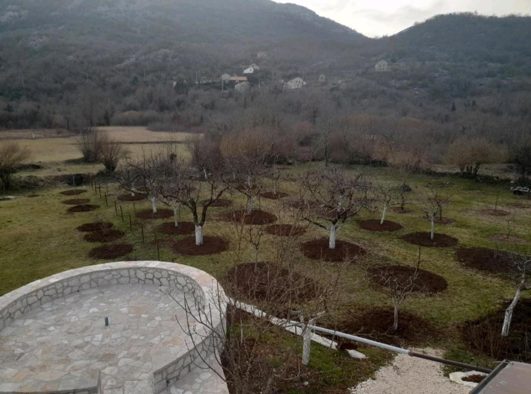 Aleksa Guest House Cetinje Exterior photo