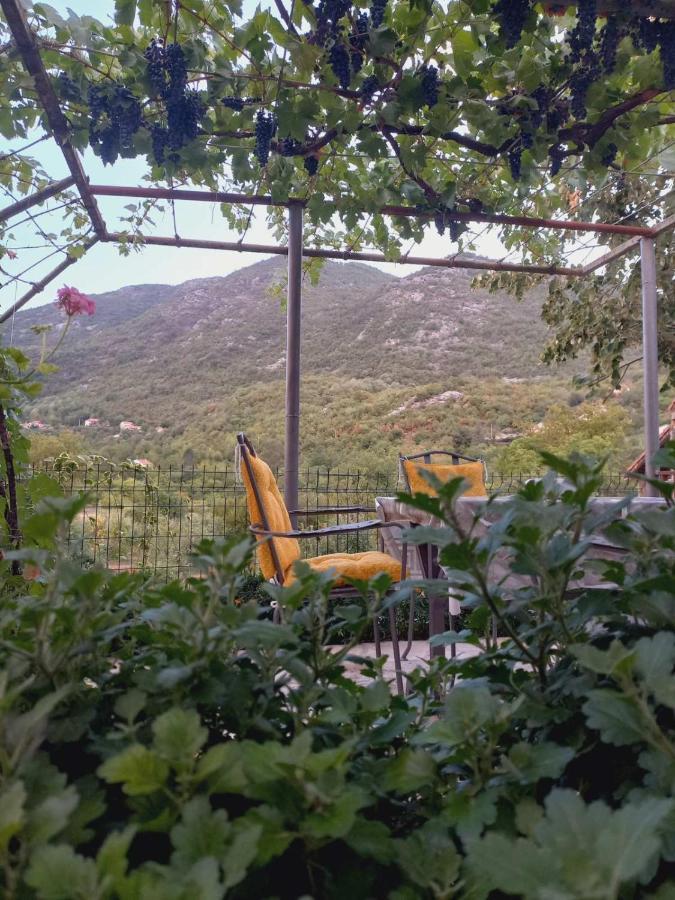 Aleksa Guest House Cetinje Exterior photo