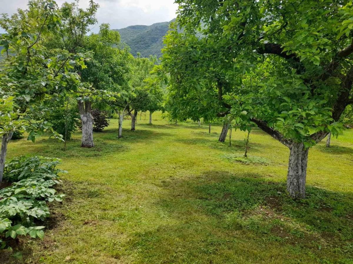 Aleksa Guest House Cetinje Exterior photo